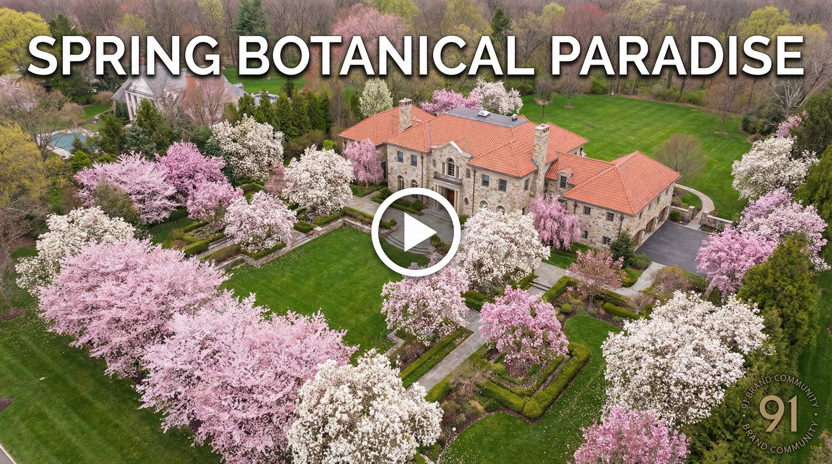 麻豆传媒植物视频